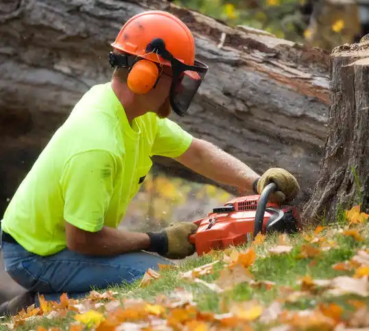 tree services River Ridge